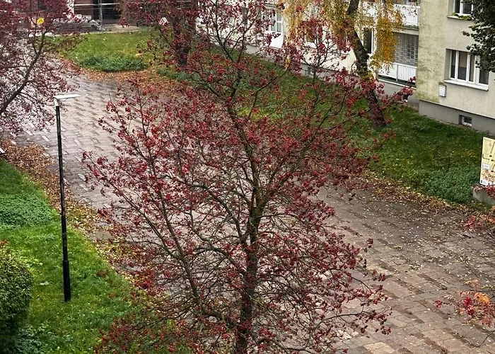 In The Old Town Apartament